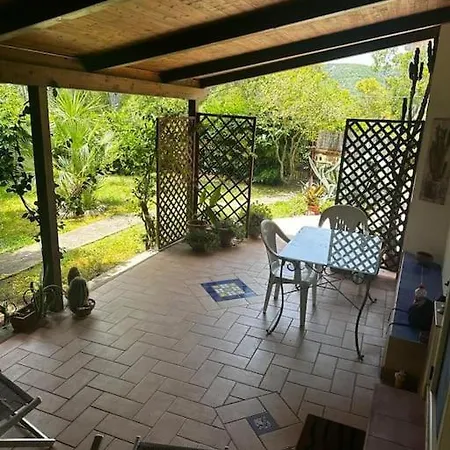 Tranquillo Immerso Nel